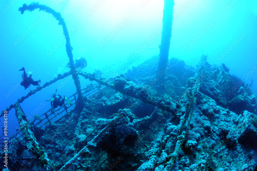 custom made wallpaper toronto digitalwreck - shipwreck) in scuba divers' slang - a type of dive in which a descent is made to sunken ships or objects. Often such a dive involves penetration into the overhead environment (cabins, holds of