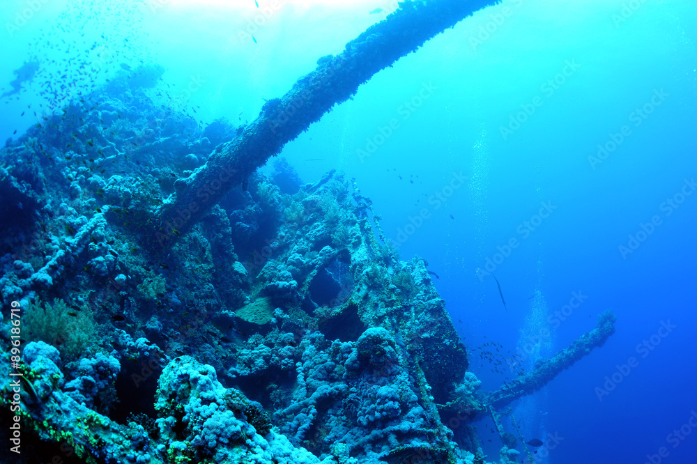 custom made wallpaper toronto digitalwreck - shipwreck) in scuba divers' slang - a type of dive in which a descent is made to sunken ships or objects. Often such a dive involves penetration into the overhead environment (cabins, holds of