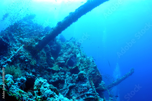 Wallpaper Mural wreck - shipwreck) in scuba divers' slang - a type of dive in which a descent is made to sunken ships or objects. Often such a dive involves penetration into the overhead environment (cabins, holds of Torontodigital.ca