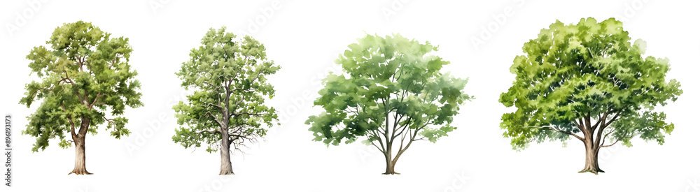 tree png cut out element set tree png cut out element set
