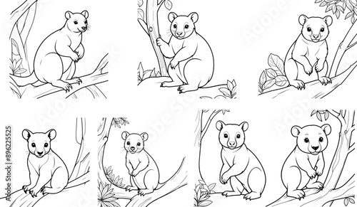 Tree Kangaroo coloring page and outline vector design