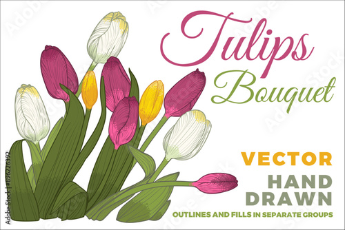 Vector hand drawn tulips bouquet with petals, flowers, leaves, stem. Colorful spring flowers isolated on a white background. Easy to use and edit flower assets. The bouquet is whole not separated.