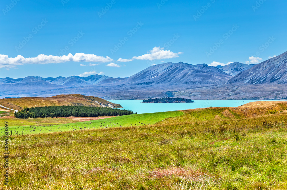 Fototapeta premium Lake Tekapo, Canterbury, South Island, New Zealand, Oceania.