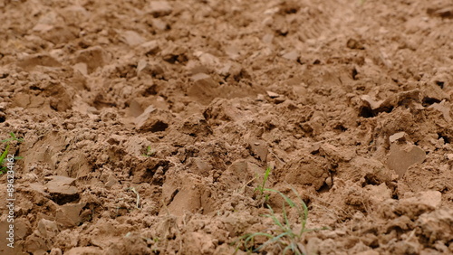 Fotografi Close-up of dry soil with small rocks and sparse vegetation, showcasing the natural texture and earth tones of the ground