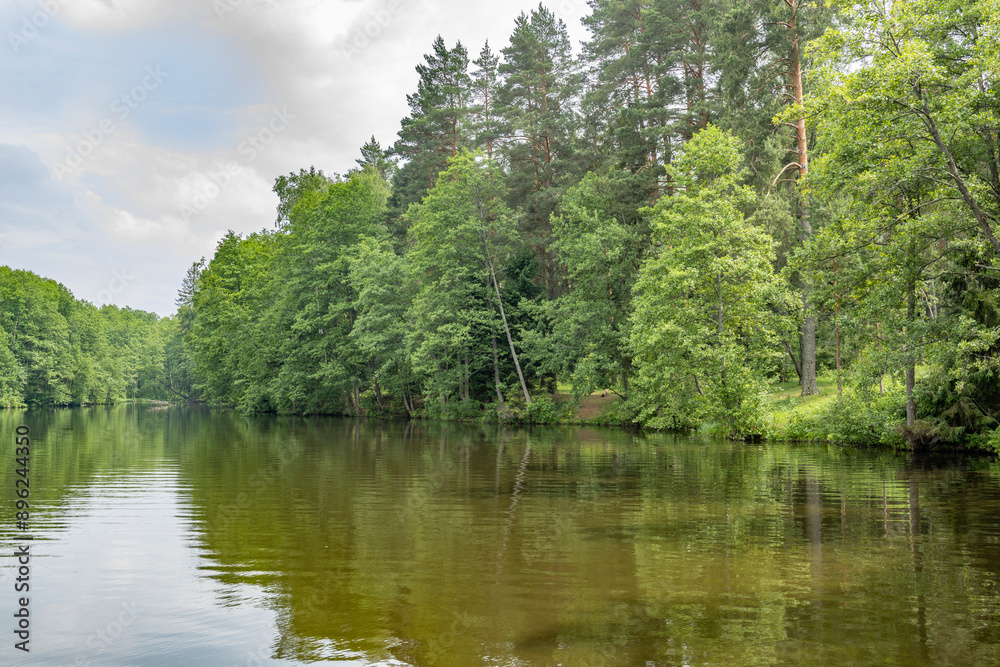 A calm lake with trees in the background A calm lake with trees in the background