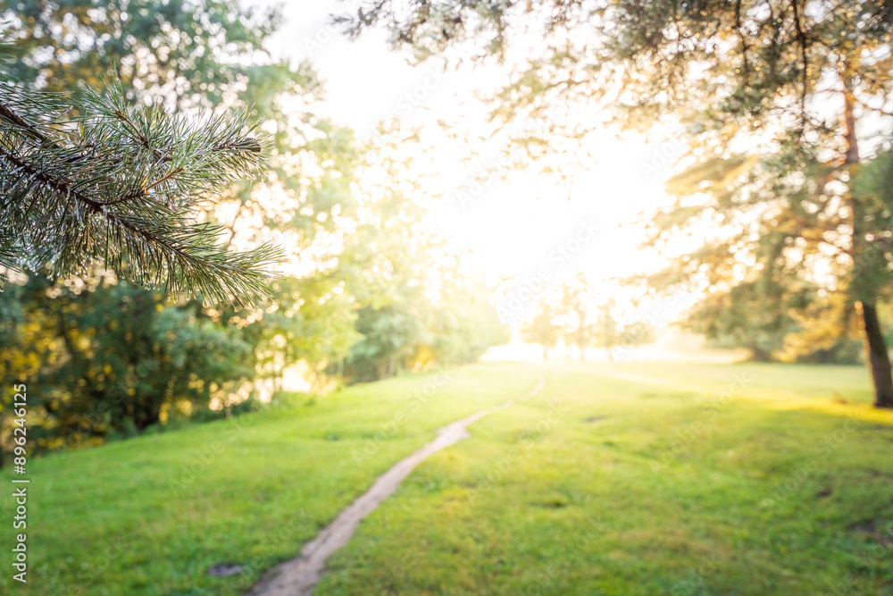 A tree branch is shown in the foreground of a grassy field A tree branch is shown in the foreground of a grassy field