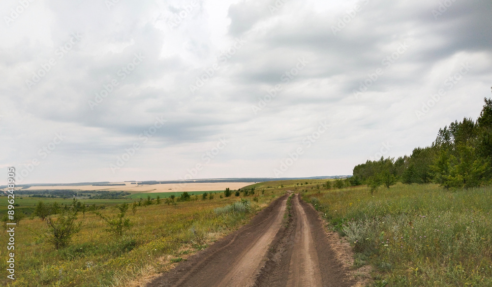 Rural Road Through Grassy Field and Trees on Overcast Day Rural Road Through Grassy Field and Trees on Overcast Day