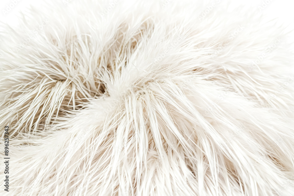 Fototapeta premium Close Up of Soft White Feathers