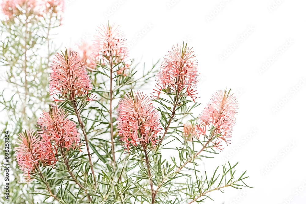 Delicate Pink Flowers on a Green Branch Delicate Pink Flowers on a Green Branch