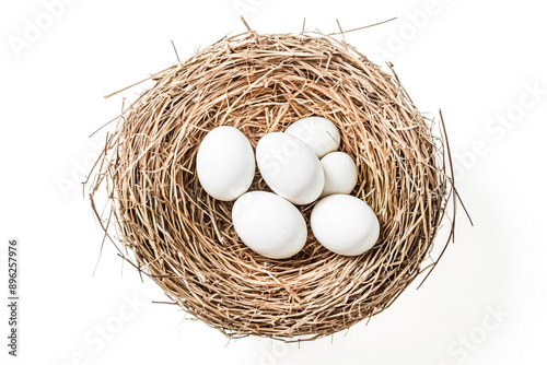 Wallpaper Mural White Eggs in a Bird Nest Torontodigital.ca