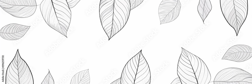 Obraz premium Minimalistic monochrome black and white leaves outline, abstract background