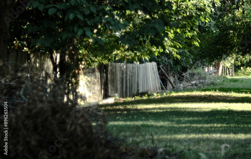 weathered wooden fence and trees