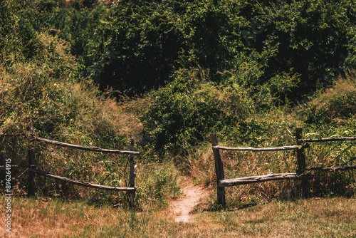 rustic fence on a dirt path leading into the woods