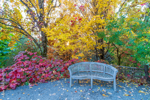 Fototapeta Naklejka Na Ścianę i Meble -  bench in autumn park