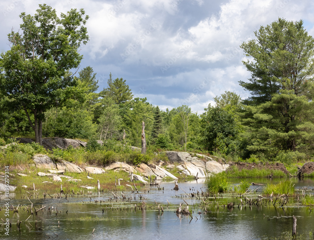 Glacial bedrock and vegetation around a bog at Glacial bedrock and diverse native vegetation at a bog in Torrance Barrens Conservation Area under storm clouds