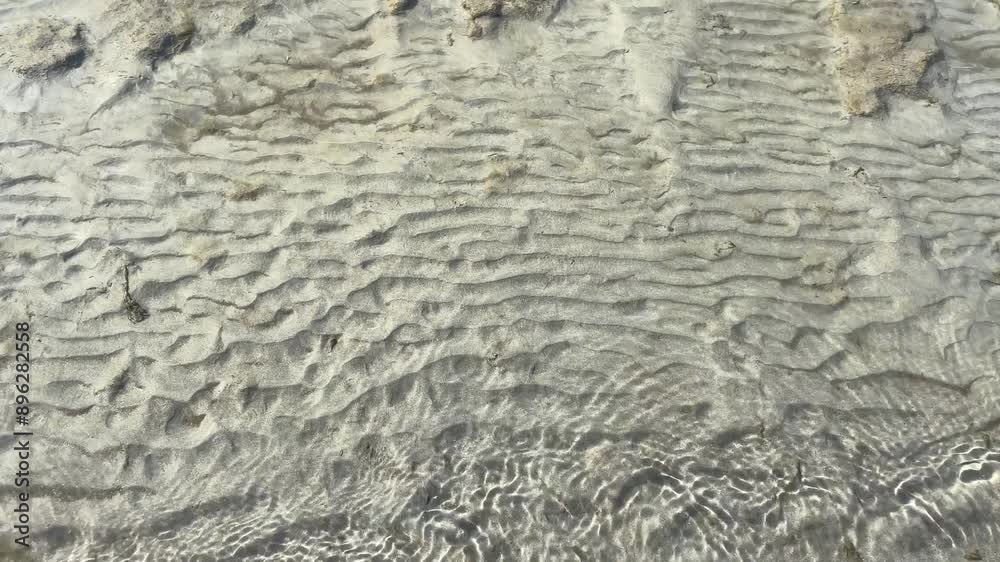 Northeast Rivers Brahmaputra River | Rivers of Northeast India | Brahmaputra river water ...