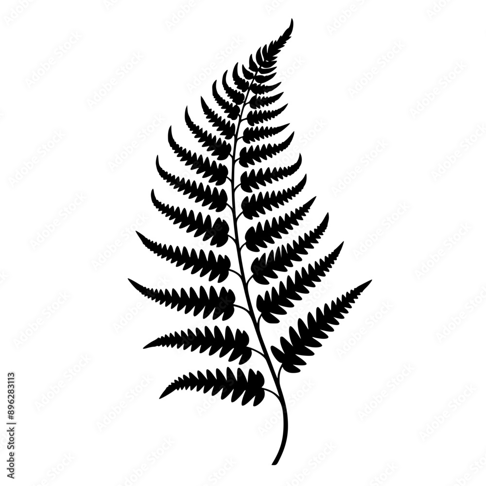 Obraz premium Fern Leaf Vector