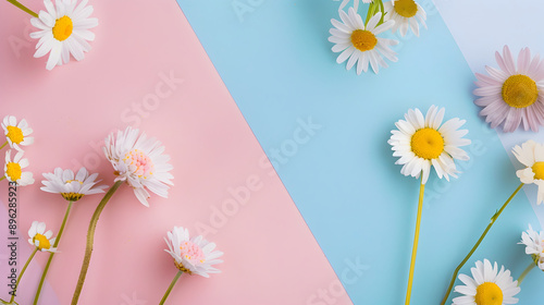 Blank paper with background illustration