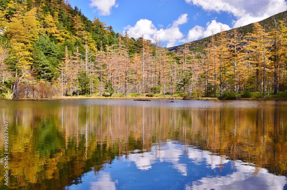 紅葉の上高地・明神池 紅葉の上高地・明神池