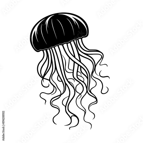 Jellyfish Vector