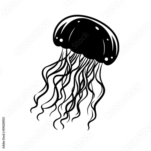 Jellyfish Vector