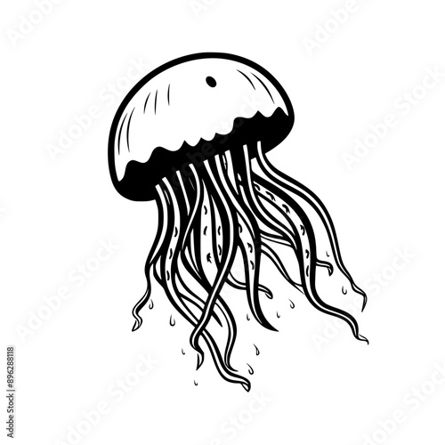 Jellyfish Vector