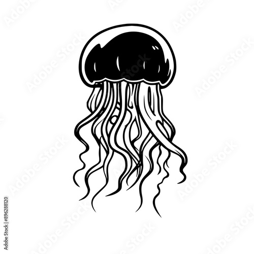 Jellyfish Vector