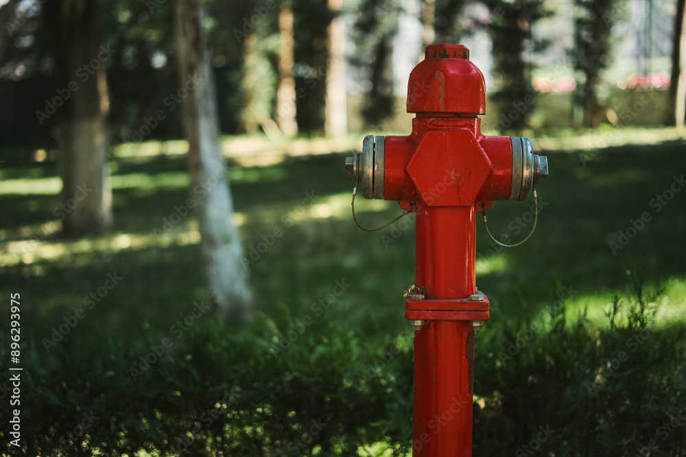 Fire hydrant in the park, the concept of maintaining regular parks and caring for the urban environment and fire safety Fire hydrant in the park, the concept of maintaining regular parks and caring for the urban environment and fire safety