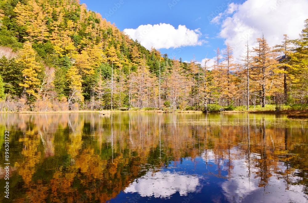 紅葉の上高地・明神池 紅葉の上高地・明神池