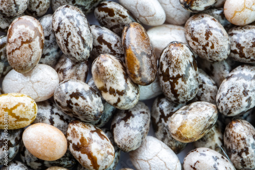 Obraz na plátně Numerous dried or dehydrated chia seeds spread evenly