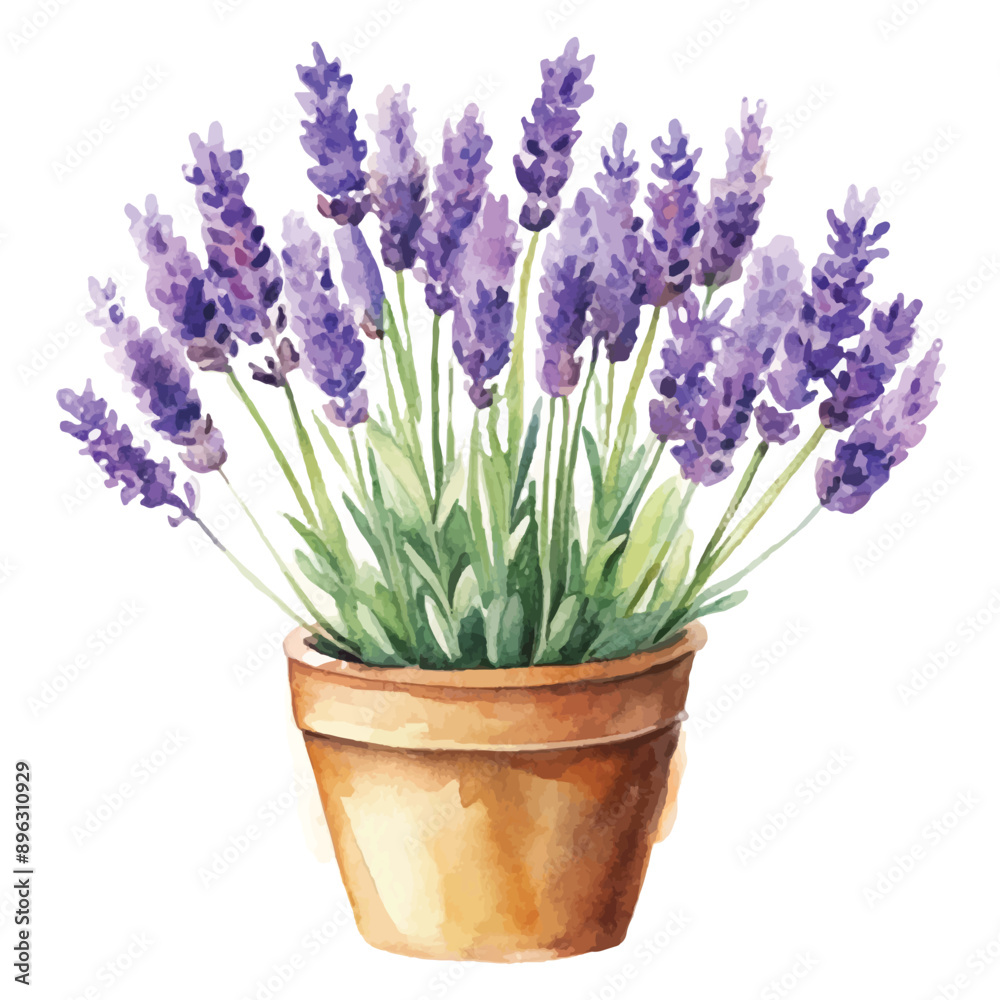 Watercolor Lavender Bouquet Clipart Watercolor Lavender Bouquet Clipart