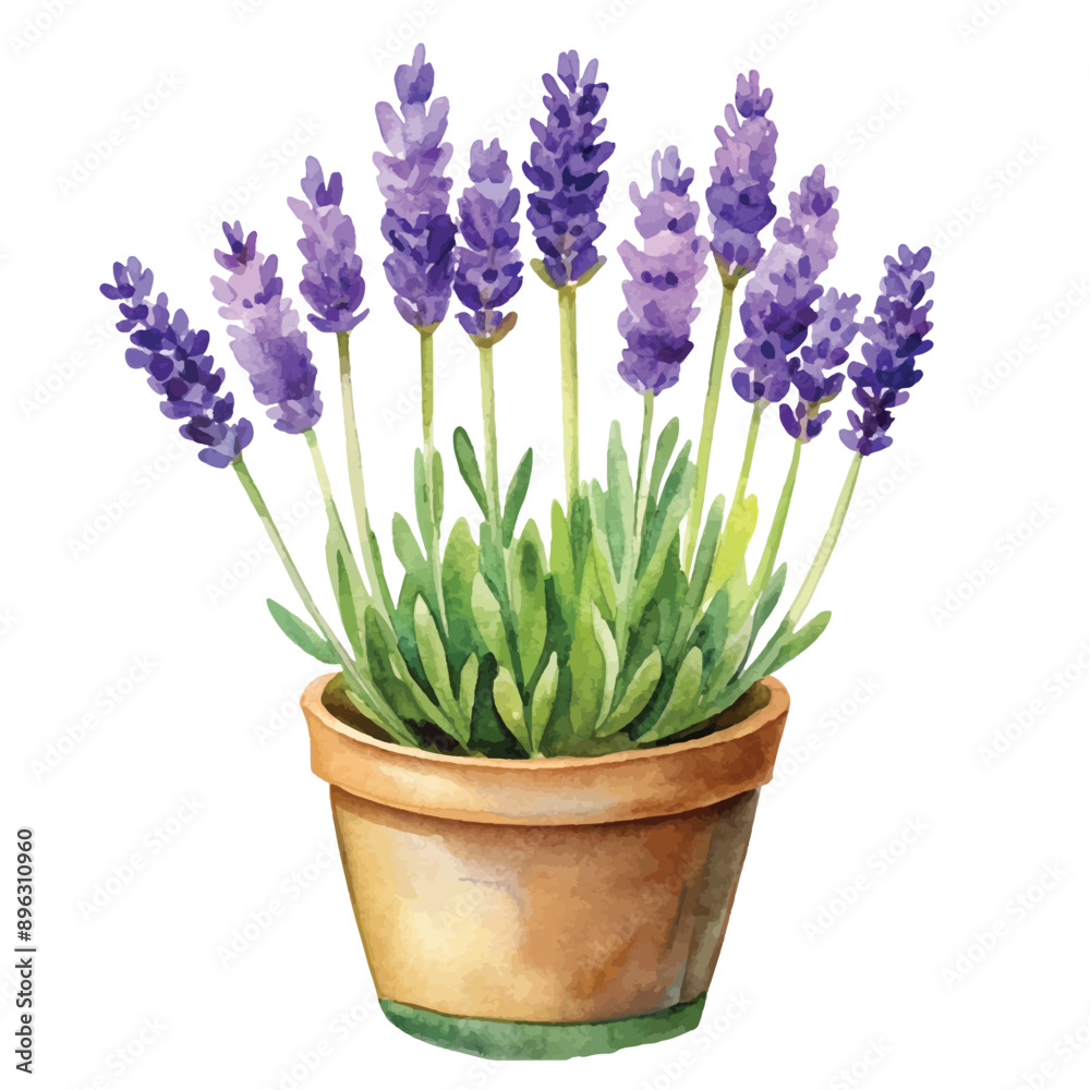 Obraz premium Watercolor Lavender Bouquet Clipart