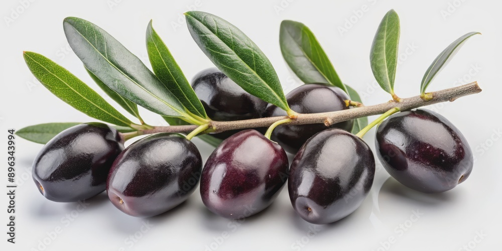 Close-up of Black Olives on Olive Branch, Food Photography, Mediterranean Cuisine, Healthy Fats, Olives , olives , mediterranean Close-up of Black Olives on Olive Branch, Food Photography, Mediterranean Cuisine, Healthy Fats, Olives , olives , mediterranean