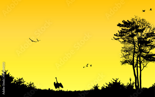 Sunset nature silhouette scenary landscape background cover poster wallpaper birds trees beautiful summer vector illustration