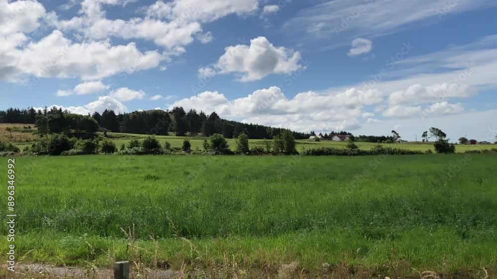 landscape with trees and clouds landscape with trees and clouds
