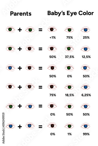 Baby Eye Color Calculator parents and baby eye color photo