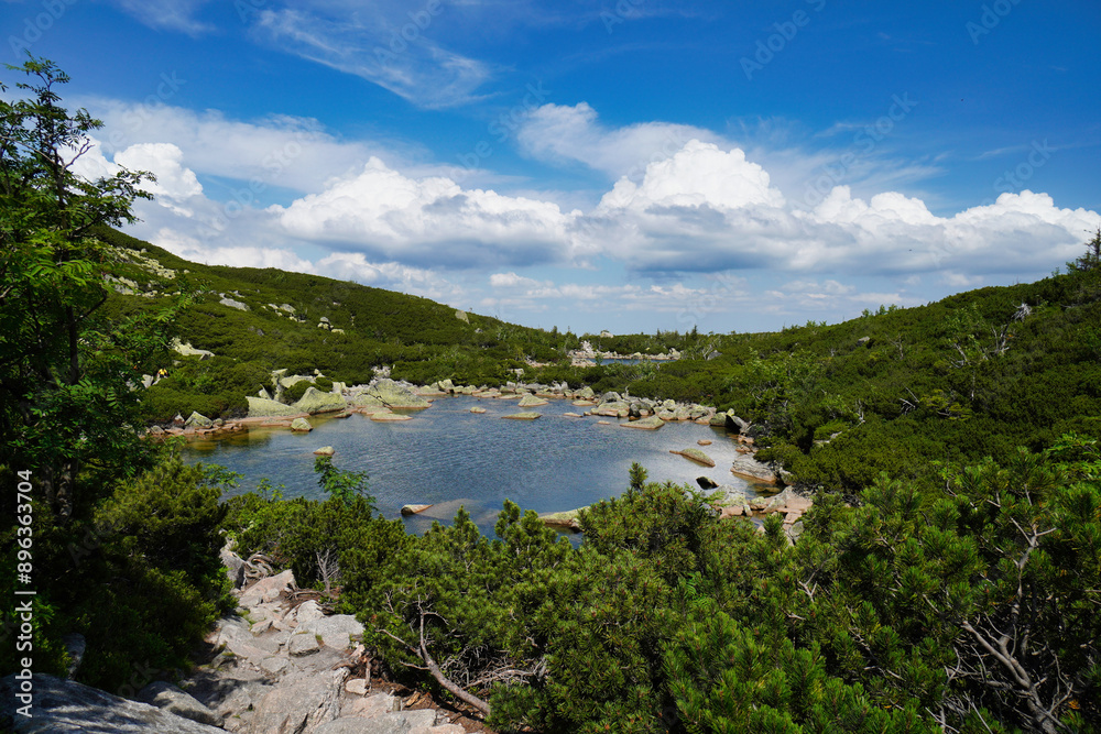 Fototapeta premium Śnieżne Stawki - a complex of eight septic lakes, six of them seasonal, at the bottom of the Śnieżne Kotły glacial basin, in the western part of the Karkonosze range.