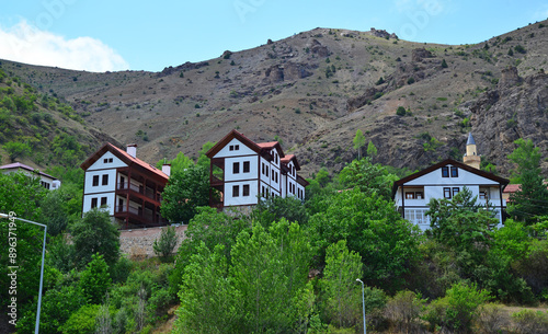 Wallpaper Mural Suleymaniye Town, located in Gumushane, Turkey, is an ancient settlement with its old church, mosque and houses. Torontodigital.ca
