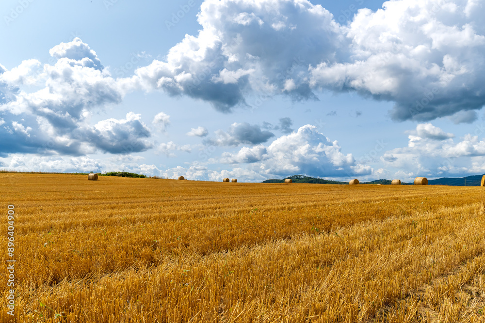 Harvested grain in a field in the countryside, bales of straw and clouds in the sky