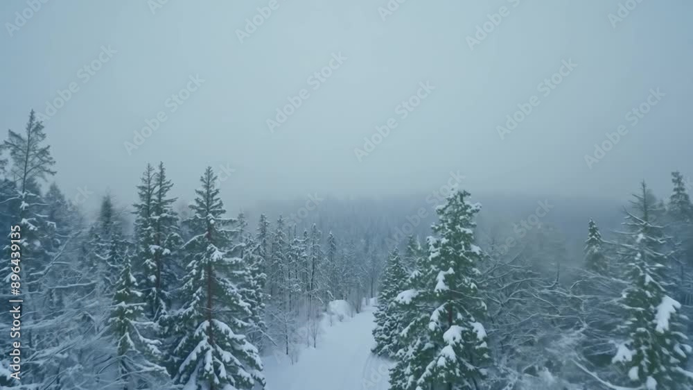 A snowy forest with a road running through it. The sky is overcast and the trees are bare A snowy forest with a road running through it. The sky is overcast and the trees are bare