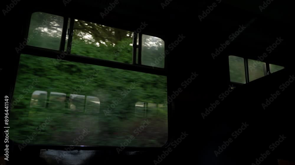 View from the window of a retro train to green plants and trees. View from the window of a retro train to green plants and trees.