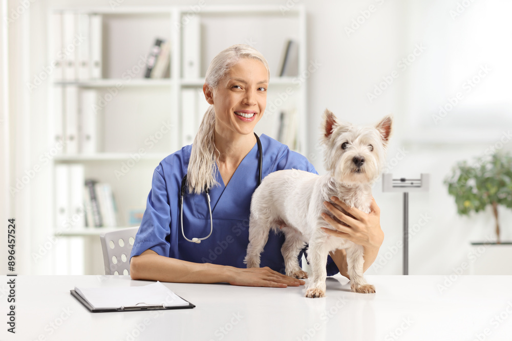 Veterinarian in a blue uniform sitting with a westie terrier Veterinarian in a blue uniform sitting with a westie terrier