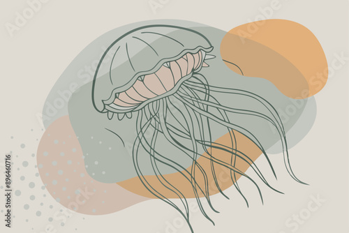  jellyfish with thick tentacles close-up. Vector illustration on white background.