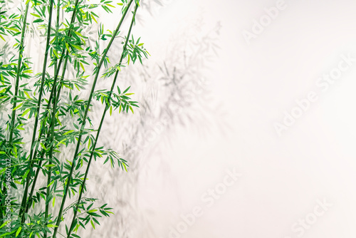Chinese style bamboo background wall