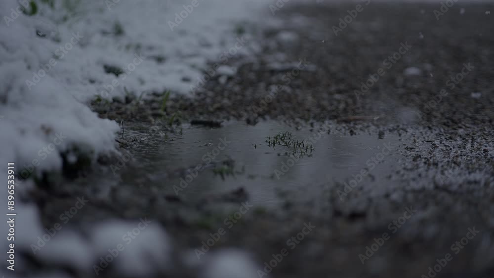 A peaceful winter road with a puddle reflecting the overcast sky creates a moody and serene scene A peaceful winter road with a puddle reflecting the overcast sky creates a moody and serene scene