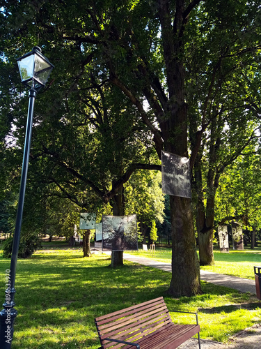 Malowniczy park zdrojowy w Nałęczowie po renowacji. Czerwiec 2024 photo