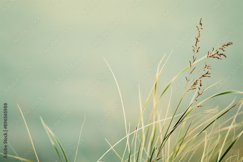 Abstract Grass in Blurred Background. Abstract Grass in Blurred Background.