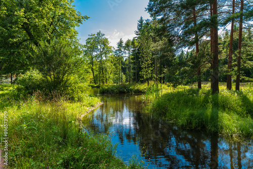 Picturesque landscape with reflection in the water in Catherine Park. Tsarskoe Selo, Pushkin, St. Petersburg, Russia.