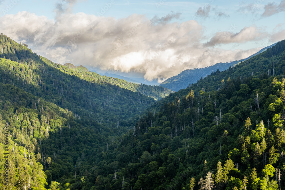 Obraz premium Sunrise over Mountains in Appalachia