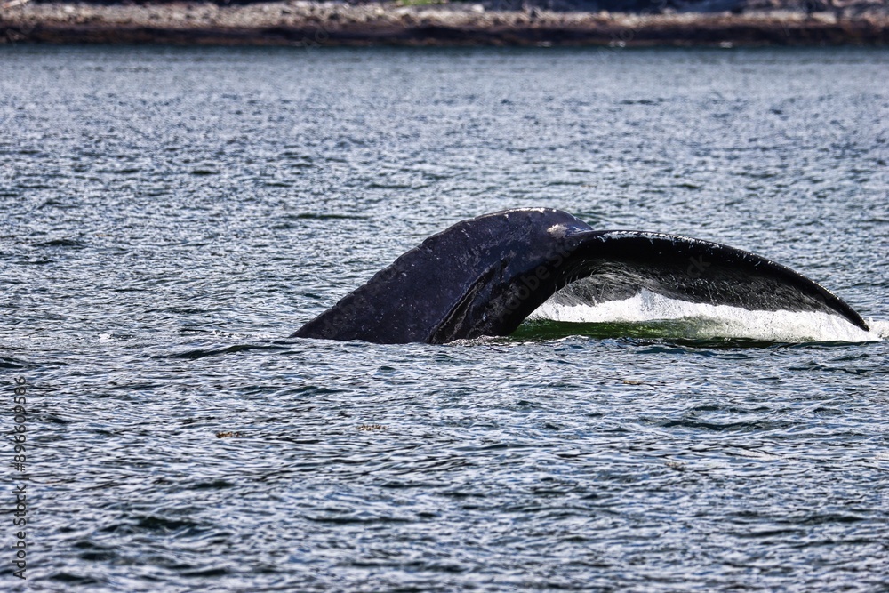 Obraz premium Juneau, Alaska